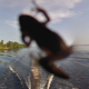 Image for article titled Meet the Wildlife Inadvertently Captured By Google's Street View Cameras